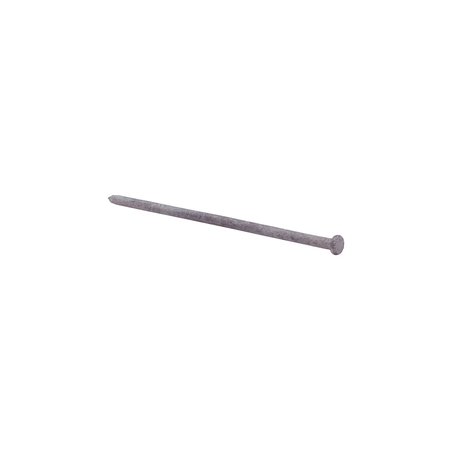 GRIP-RITE Common Nail, 10 in L, 140D, Steel, Hot Dipped Galvanized Finish 10HGSPK5